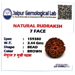 7 Mukhi Indonesia Rudraksha – Original & Certified Saat Mukhi Bead 7 Mukhi Indonesia Rudraksha – Original & Certified Saat Mukhi Bead